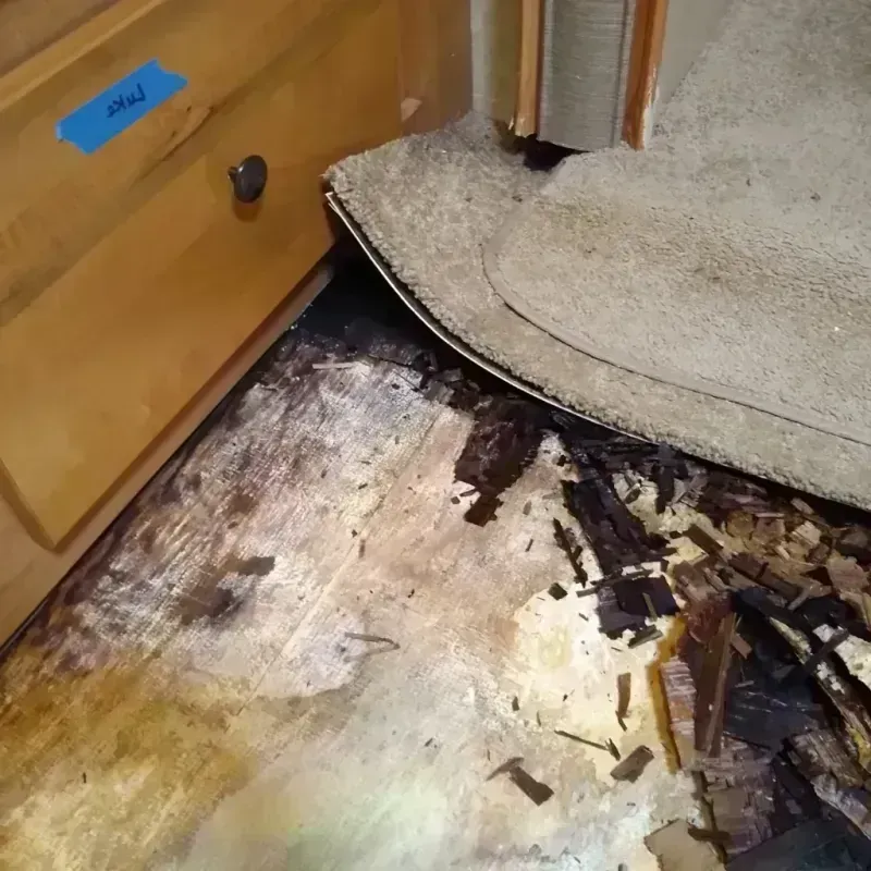 Best Wood Floor Water Damage Service in Steubenville, OH